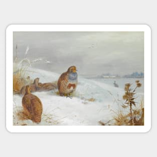 Hard times - Partridges and a Hare by Archibald Thorburn Sticker